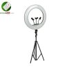 LED LR 21